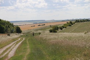 The Ridgeway loopt daar verder langs de bomen