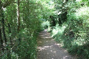 28-06-2025, The Warren; public bridleway