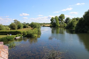 28-06-2025, Thames bij Clifton Hampden; stroomopwaarts