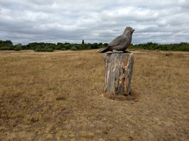 29-06-2025, Houten vogel