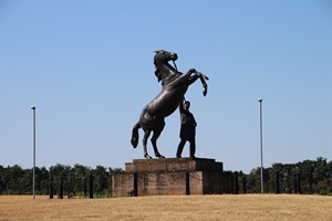 30-06-2025, Standbeeld renpaard; The Newmarket Stallion