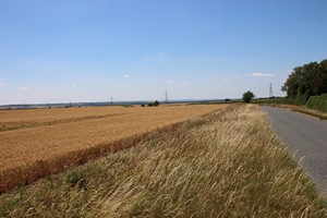 30-06-2025, Uitzicht over graanvelden