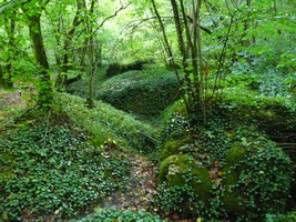 05-09-2025, Wirwar van loopgraven in het bos