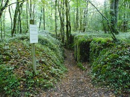 05-09-2025, Iets dichter bij de D907 nog meer loopgraven